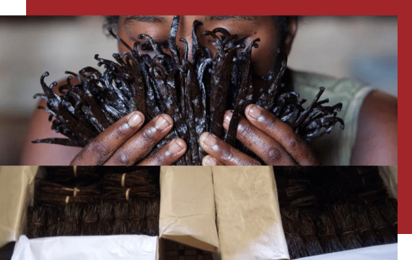 Vanilla Bay Noir Refining