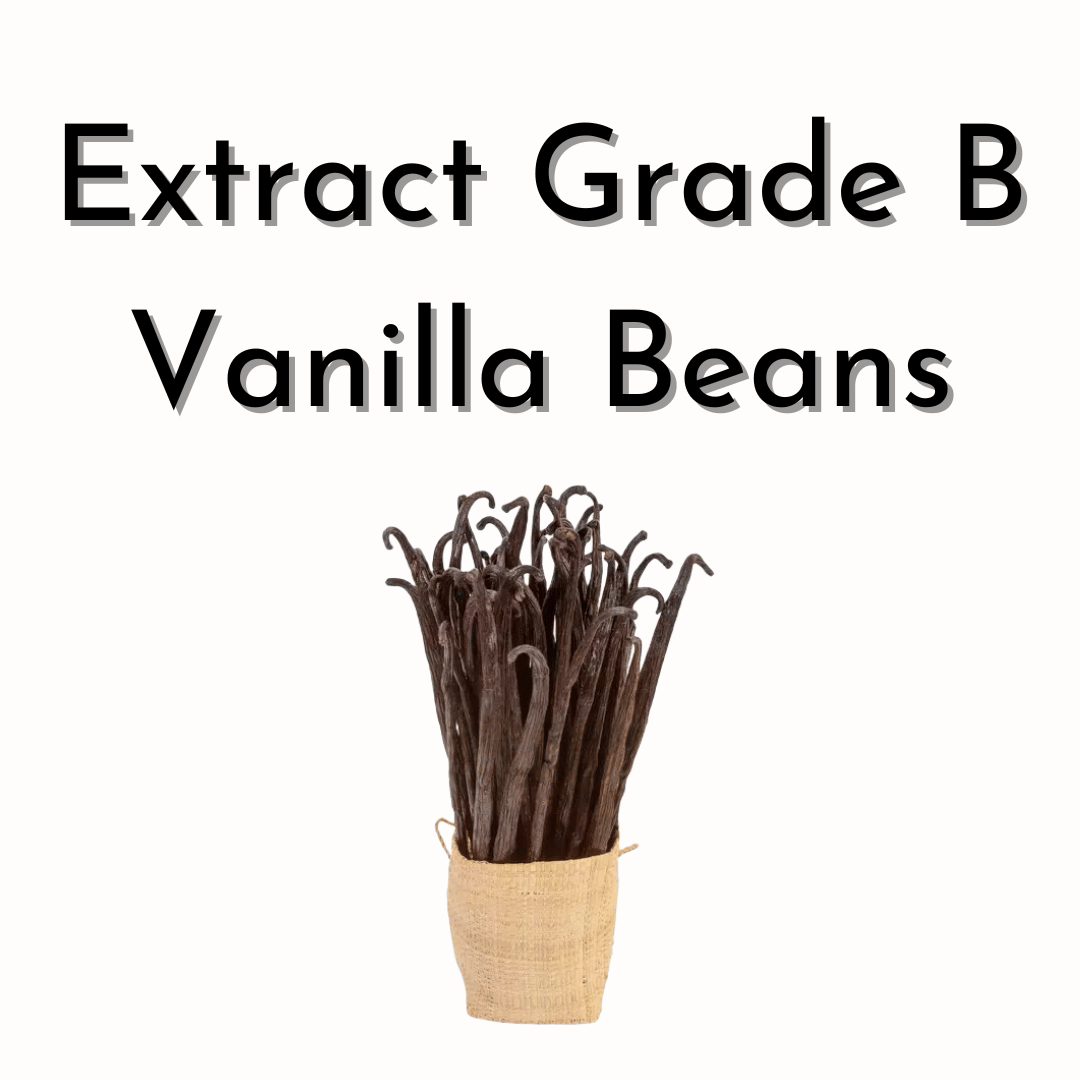 Extract Grade B Vanilla Beans