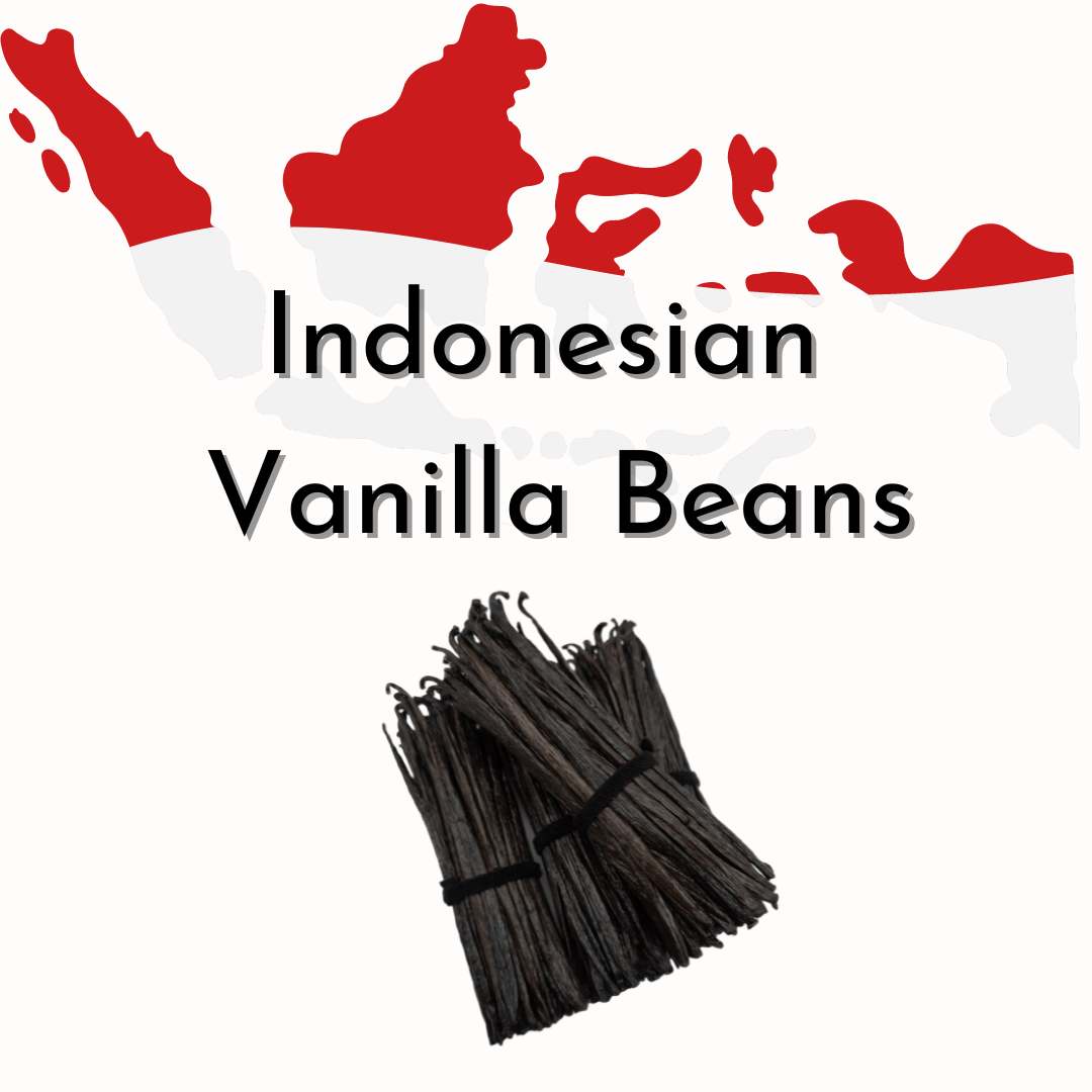 Indonesian Vanilla Beans Planifolia