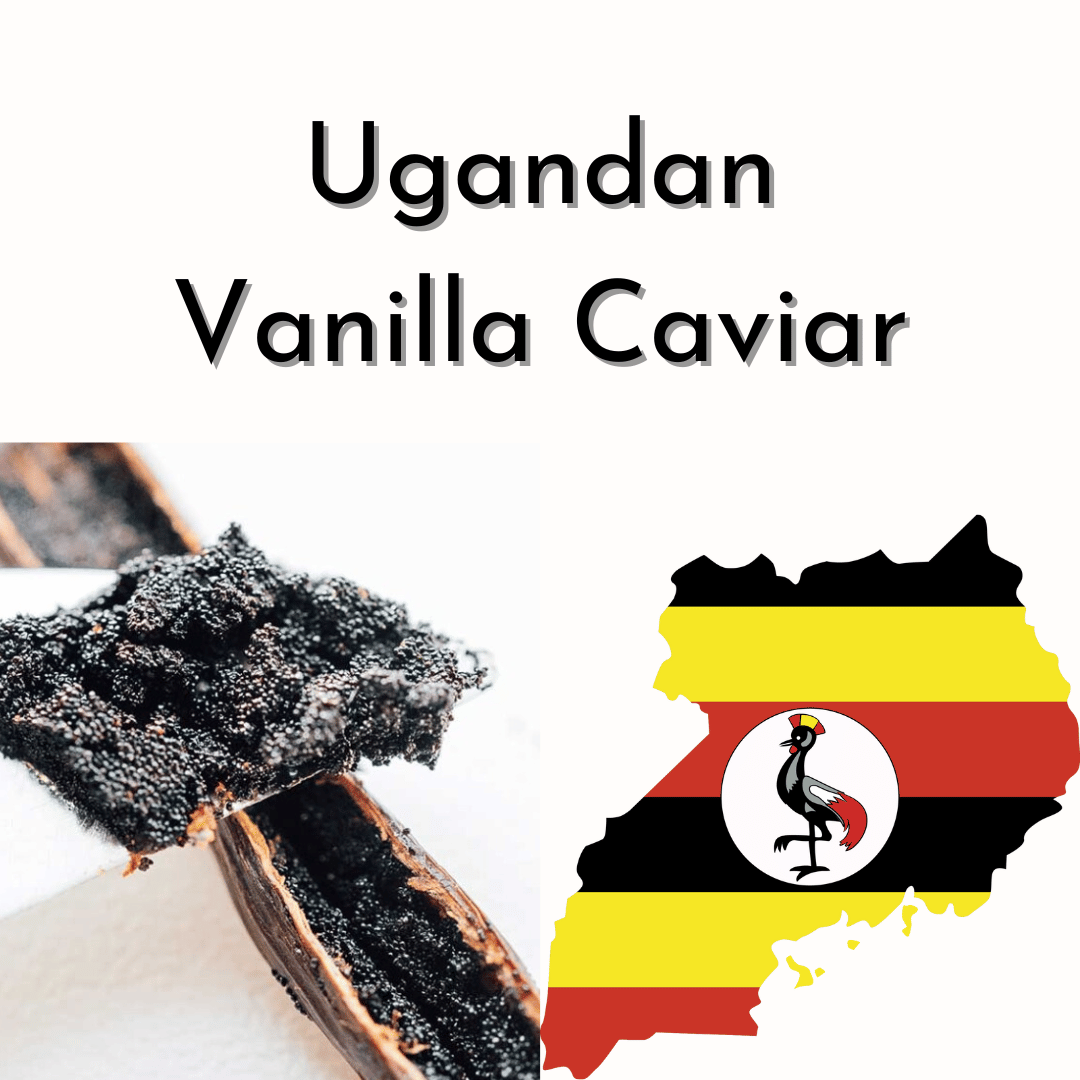 Ugandan Vanilla Bean Seeds/Caviar