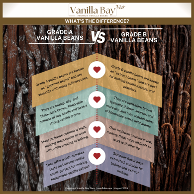 Grade A vs Grade B Vanilla